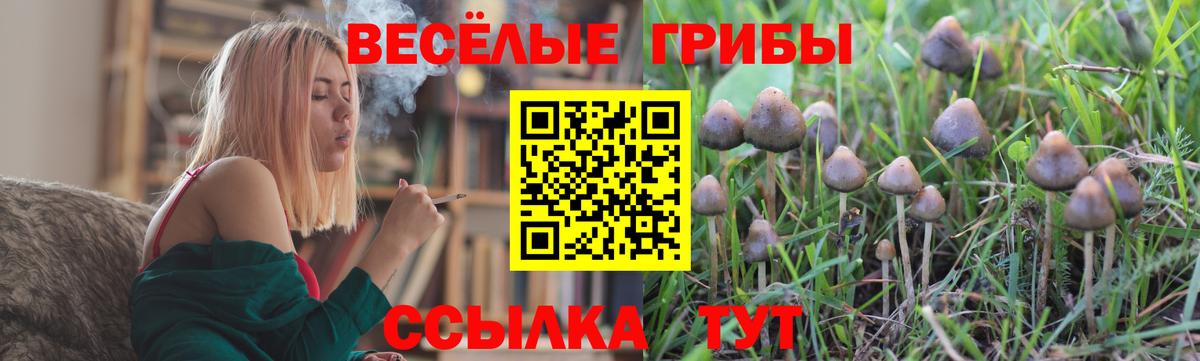 Псилоцибиновые грибы GOLDEN TEACHER  Вход с VPN  Галлюциногенные грибы Psilocybine cubensis  Сатка 